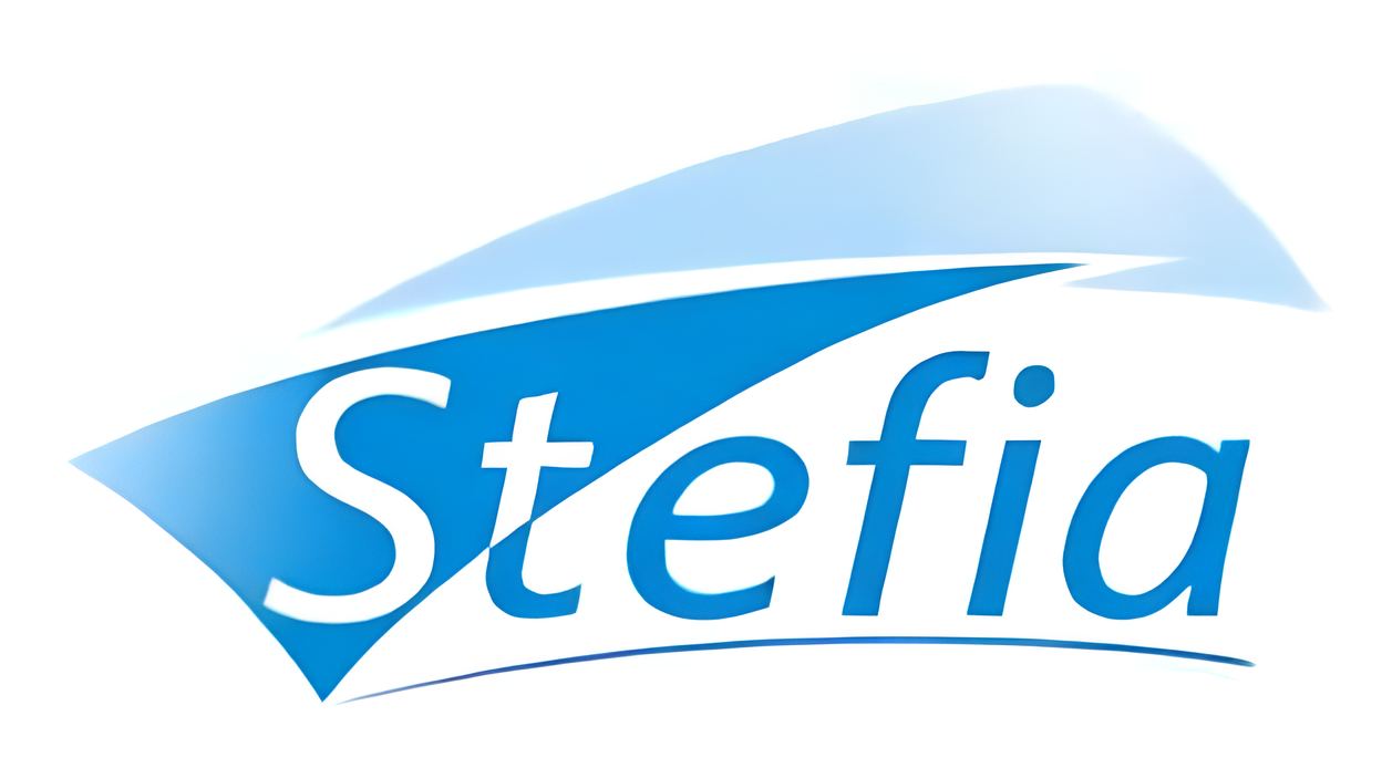 Lire la suite à propos de l’article Transformation d’une friche industrielle : l’installation de STEFIA à Saint-Julien-du-Sault